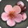 Peach blossoms icon1.png