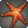 Ruby sea star icon1.png