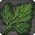 Mist dill icon1.png