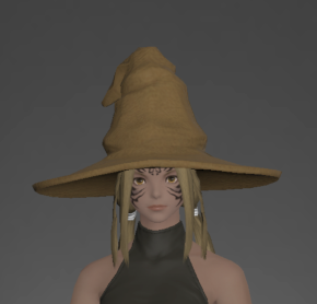Doctore's Hat front.png
