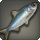 Glass herring icon1.png