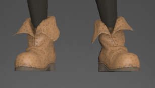 Hard Leather Shoes front.png