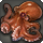 Gigant Octopus