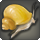 Acorn Snail