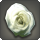 Dried white oldrose icon1.png