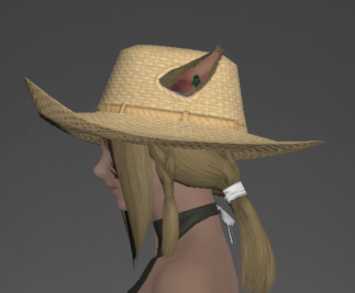 Straw Hat side.png