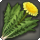Steppe flatweed icon1.png