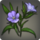 Shroud iris icon1.png