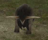Wounded Aurochs.png