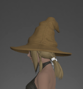 Doctore's Hat side.png