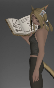 Engraved Leather Grimoire inside.png