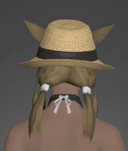 Forager's Hat rear.png