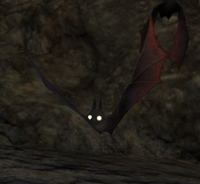 Cave Bat.png