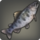 Nondescript fish icon1.png