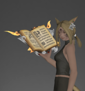 Ifrit's Codex inside.png