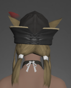 Cashmere Hat of Aiming rear.png