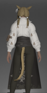 Armorer's Gown rear.png