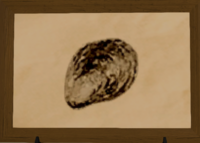 Rothlyt Oyster print.png