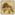 Wild Hog Relic Icon.png