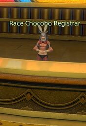Race Chocobo Registrar.jpg