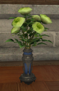 Green Oldroses.png