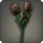 Black tulips icon1.png