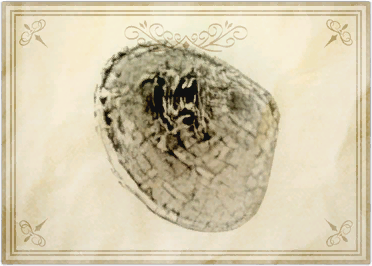 File:Crowshadow mussel.png