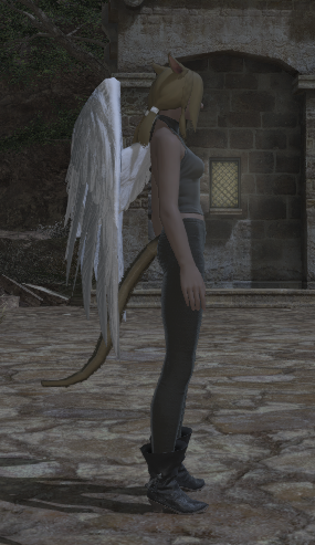 File:Angel Wings side.png