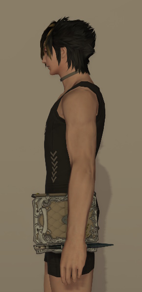 File:Complete SCH 1.jpg