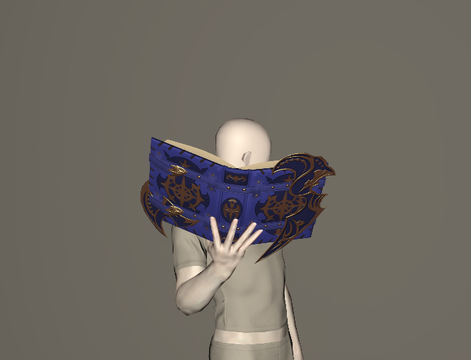 File:Pupil's Leather Grimoire.jpeg