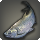 Silver characin icon1.png