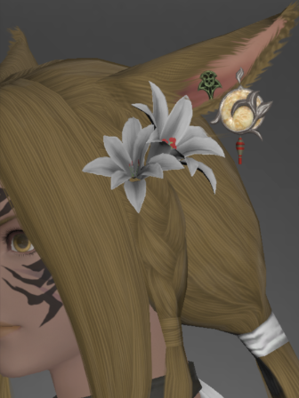 Augmented Black Willow Accessories (Resistance Token)