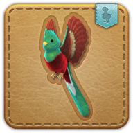 Quetzal icon3.png