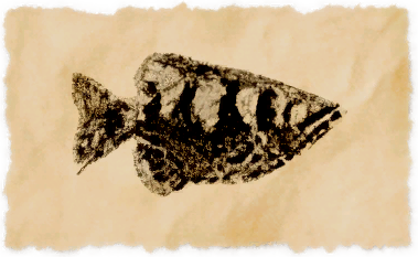 File:Fountfish.png