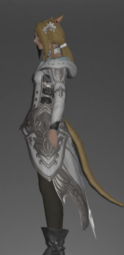 File:Omicron Coat of Healing side.png