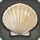 Scallop shell icon1.png