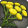 Nagxian cudweed icon1.png