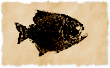 File:Abalathian pipira.png