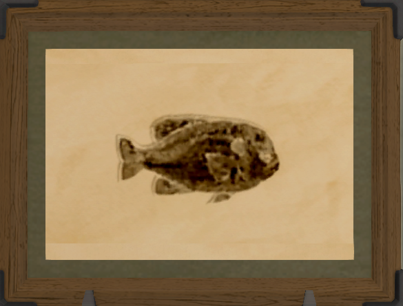 File:Longear Sunfish print.png