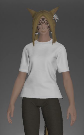 File:Plain Neotunic front.png