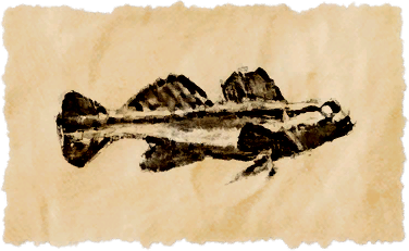 File:Sharknose goby.png