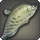 Wootz knifefish icon1.png