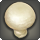 Creamtop mushroom icon1.png
