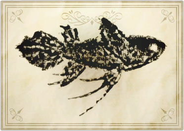 File:Madam butterfly.png