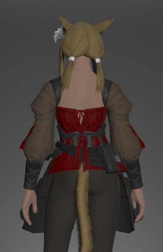 File:Nabaath Doublet of Striking rear.png