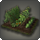 Botanists garden icon1.png