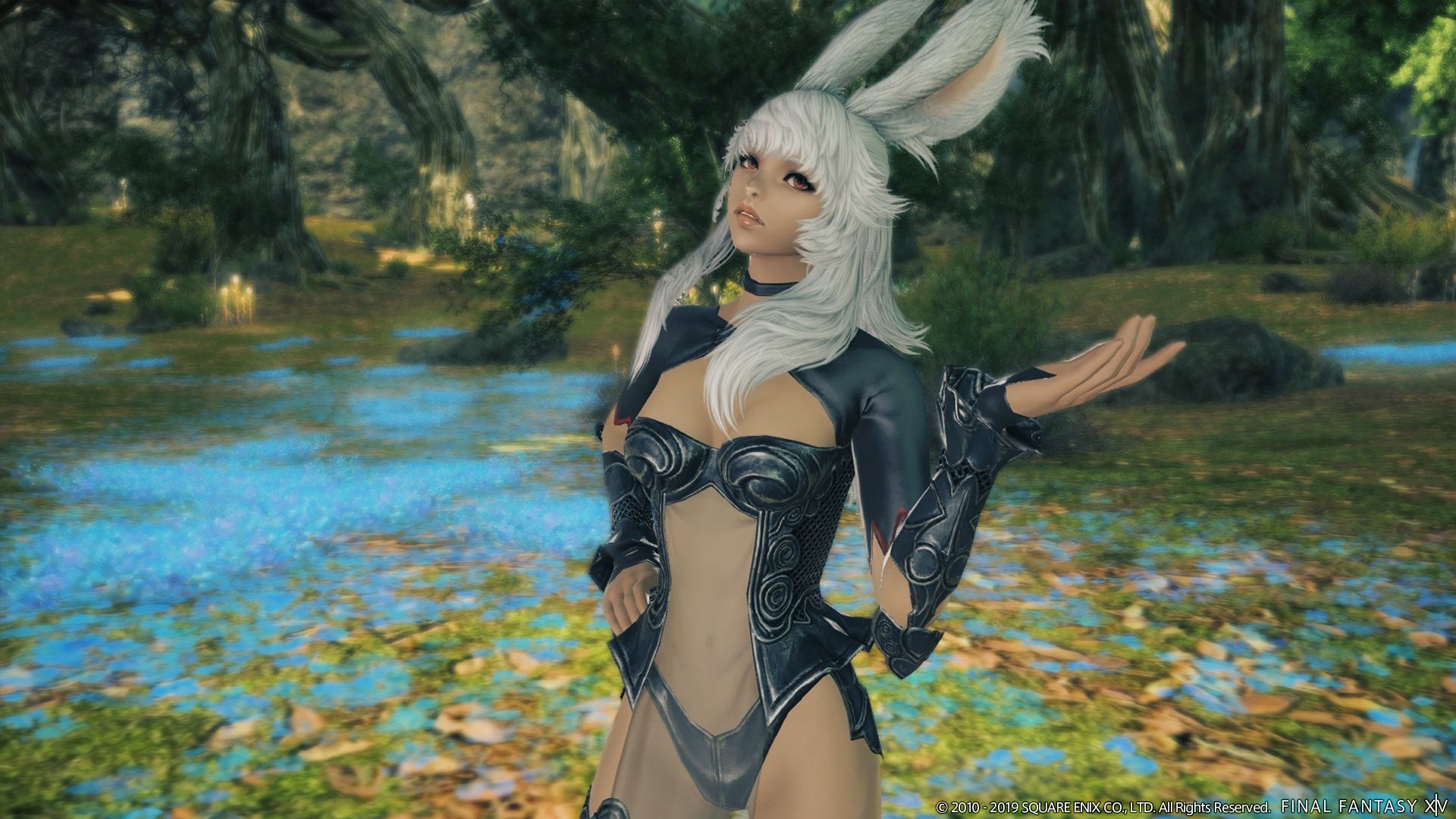 Bunny фф. Ff14 Виера. Final Fantasy XIV Viera. Финал фэнтези 14. Финал фэнтези 14 раса Виера.