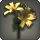 Orange brightlilies icon1.png