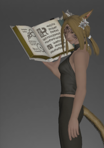 File:Replica of the Omnilex inside.png