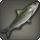 Rhotano sardine icon1.png